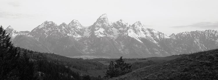 Misty Grays Teton Peaks Lienzo