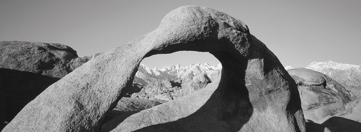Pico de pino solitario California Lienzo