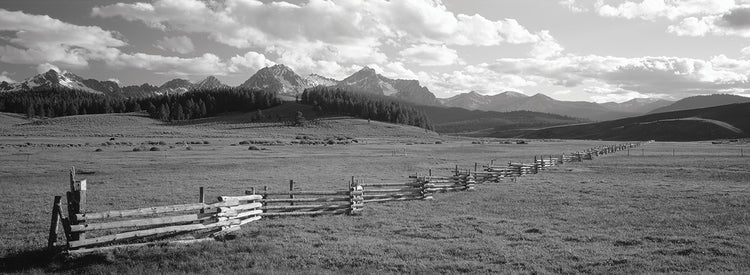 Sawtooth Mountains Field