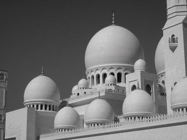 Templo de Abu Dhabi Lienzo