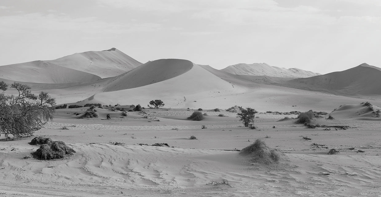 African Desert Dunes