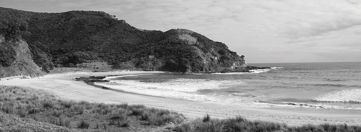 Playa del Cabo de Nueva Zelanda Lienzo