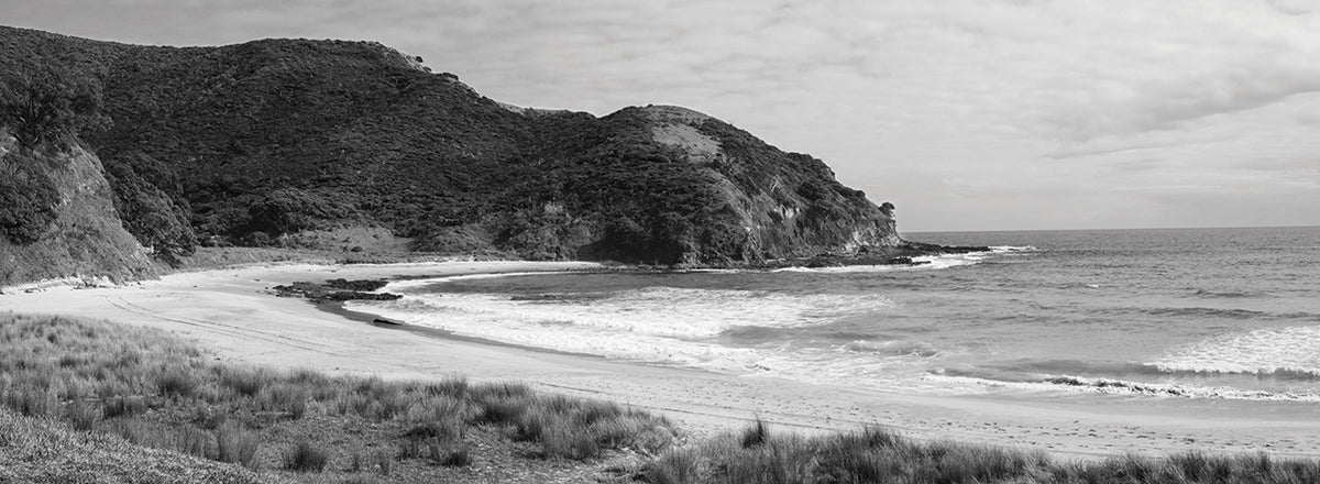 New Zealand Cape Beach