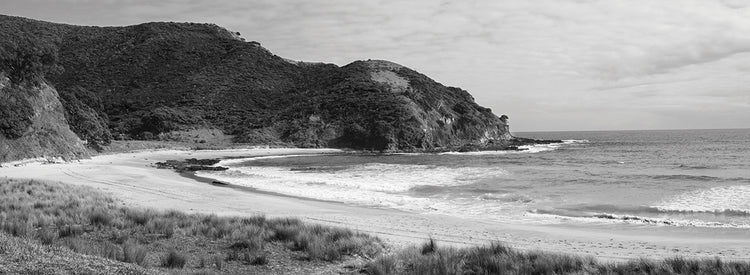 Playa del Cabo de Nueva Zelanda Lienzo