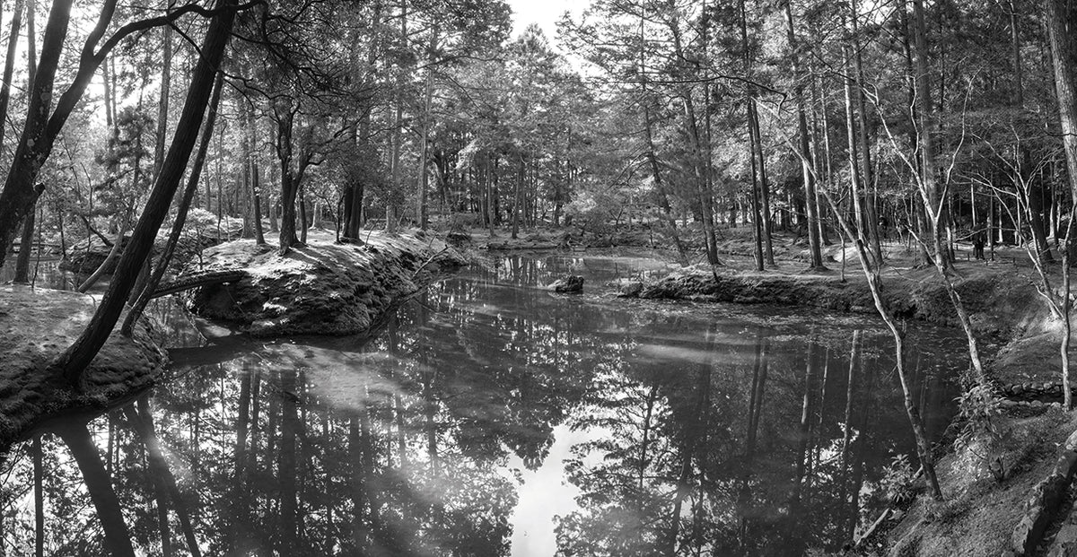 Japanese Garden Reflection