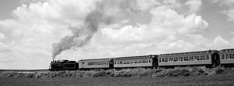Trenes de Pensilvania Lienzo