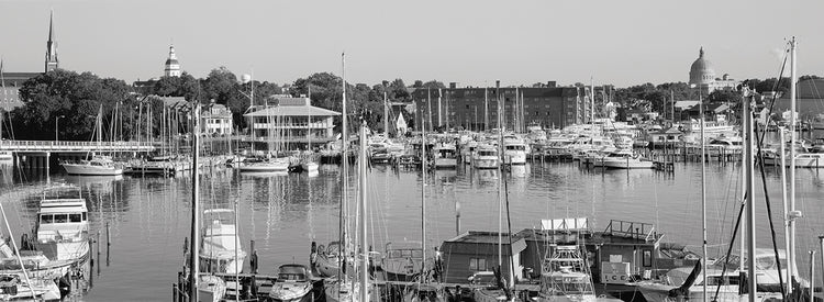 Puerto deportivo de Annapolis Lienzo