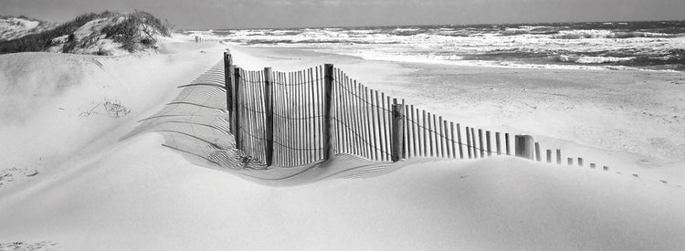 Outer Banks Sandy Fence