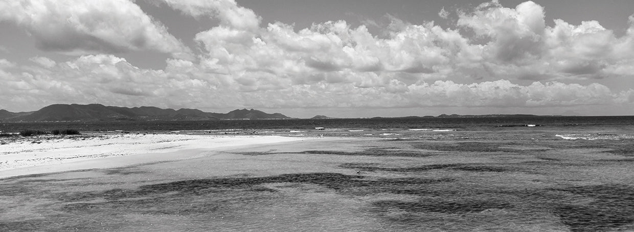 Cove Bay Anguila Lienzo
