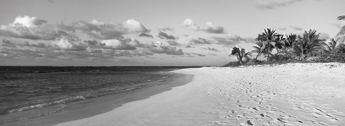 Shoal Beach Waves