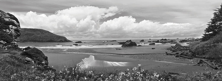 Oregon Rocky Coastline