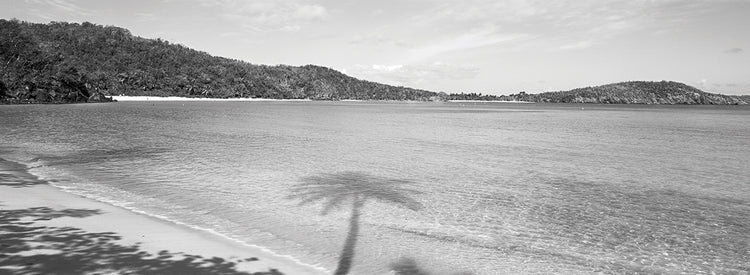Playa de la bahía de Hawksnest Lienzo