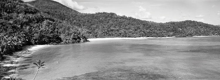 Saint John Elevations