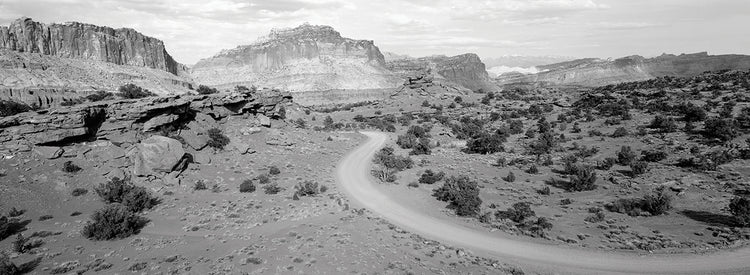 Camino sinuoso del desierto Lienzo