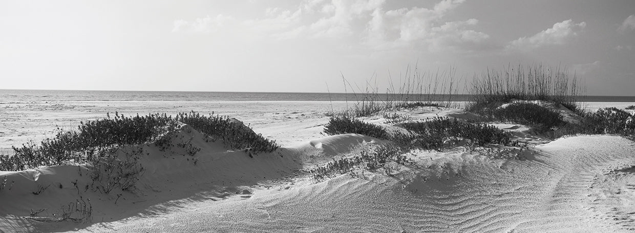 Lido Key Florida