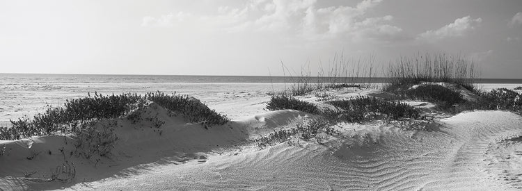 Cayo Lido Florida Lienzo