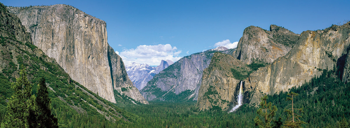 Natural Treasures Yosemite
