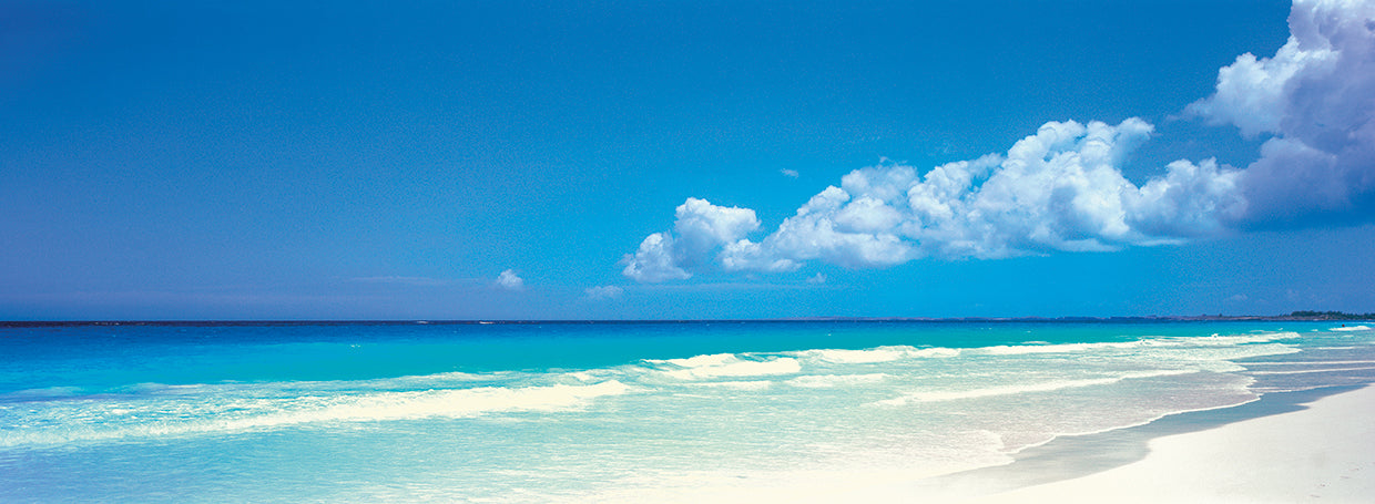 Sandy Toes Bahamas Lienzo