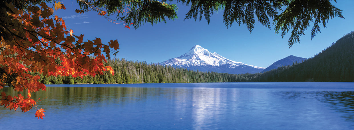 Lago perdido de Mt Hood Lienzo