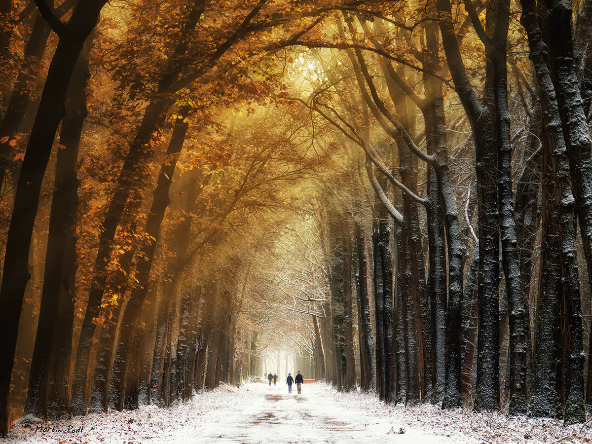 Autumn to Winter