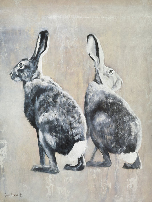 Two Gray Hares Canvas Print