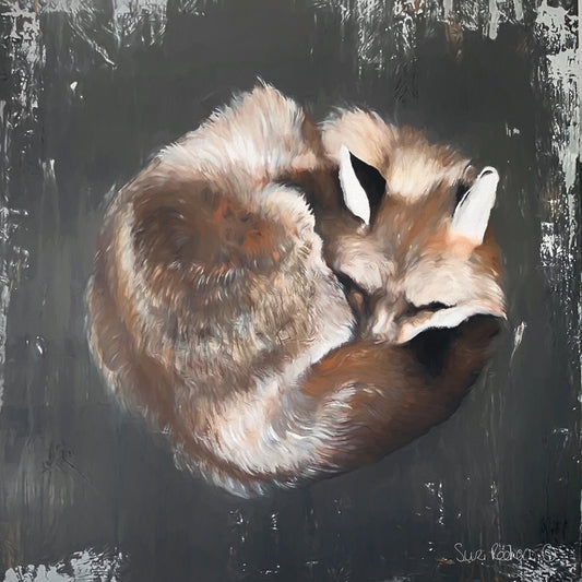 Sleeping Fox No. 11 Canvas Print