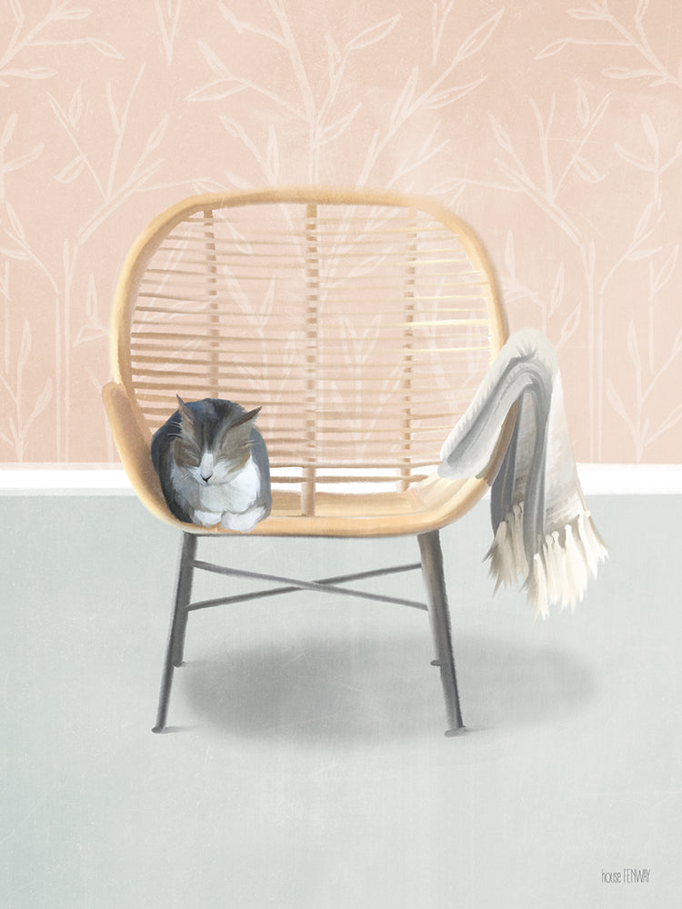 Nap Time Gray and White Cat