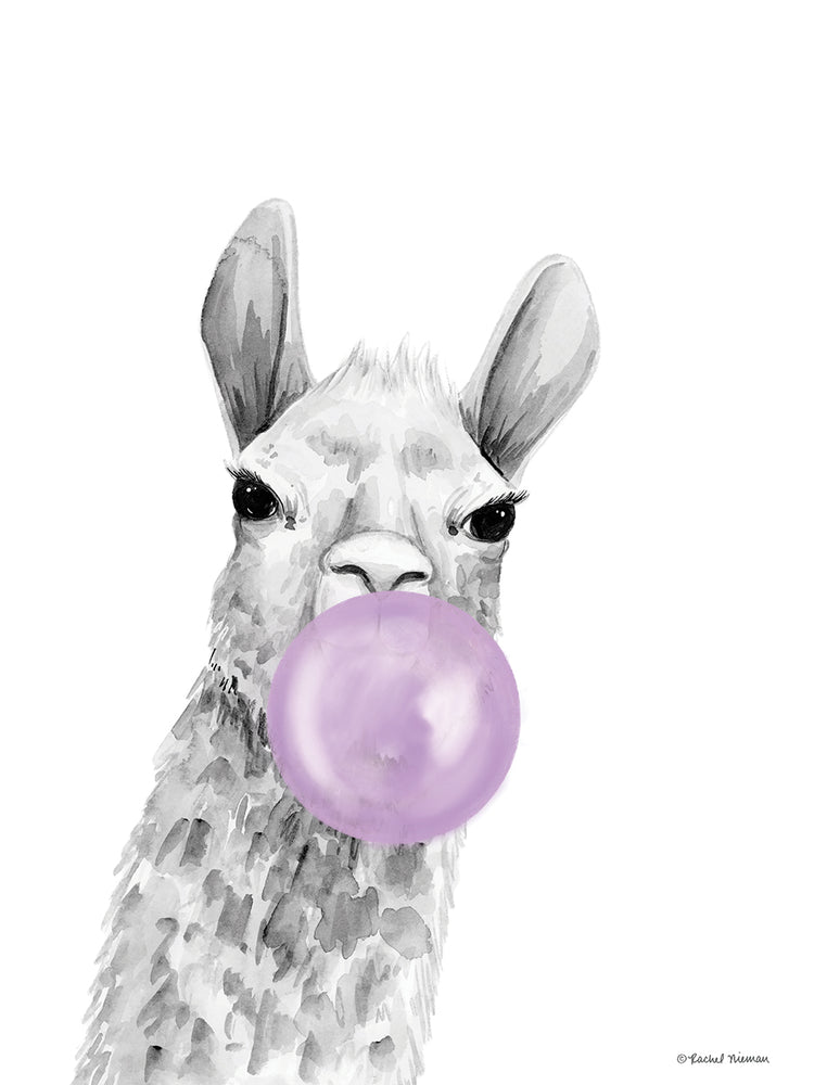 Bubblegum Alpaca