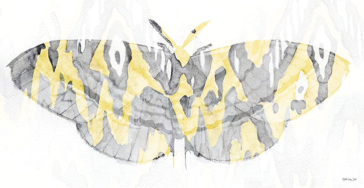 Yellow-Gray Patterned Moth 1
