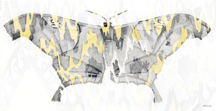 Polilla estampada amarillo-gris 2 Lienzo