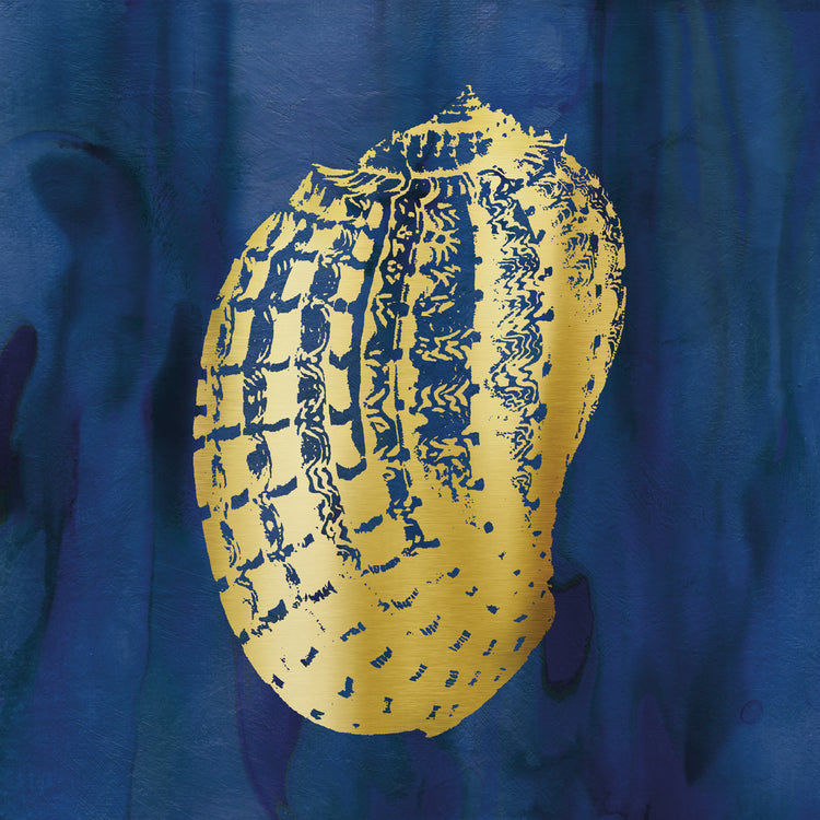 Indigo Sea Treasure VII