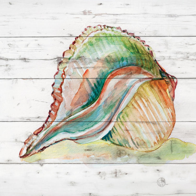 Tye Dyed Shell II