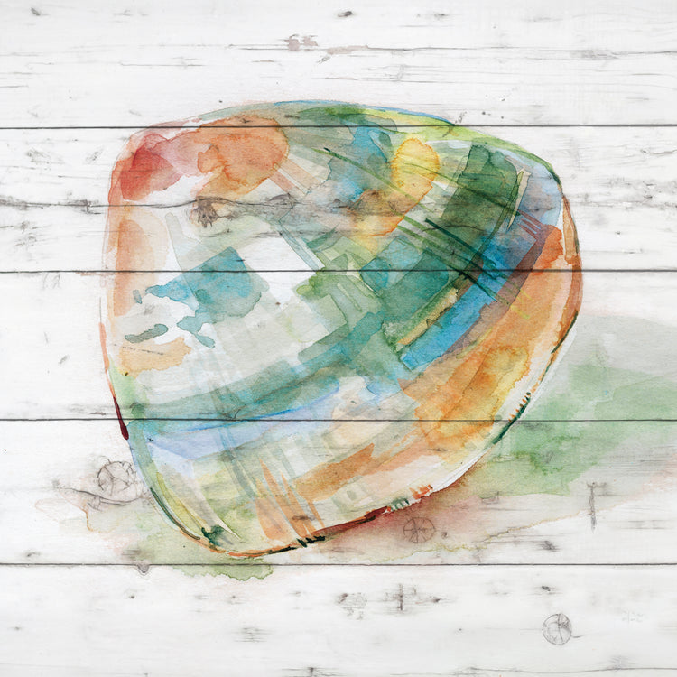 Tye Dyed Shell III Lienzo
