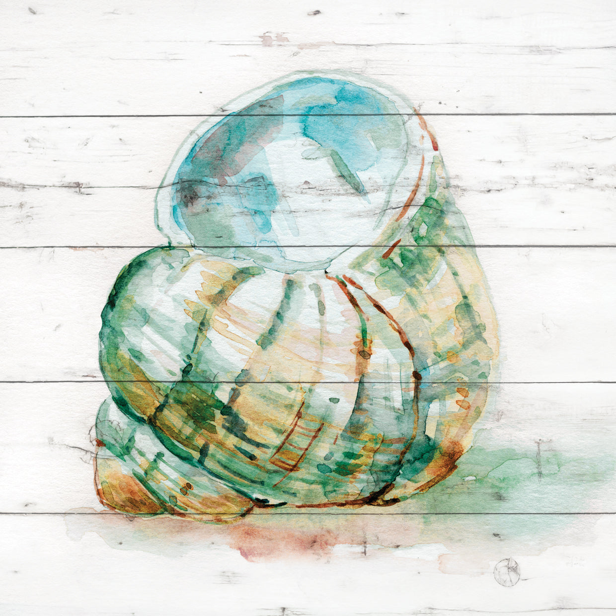 Tye Dyed Shell IV