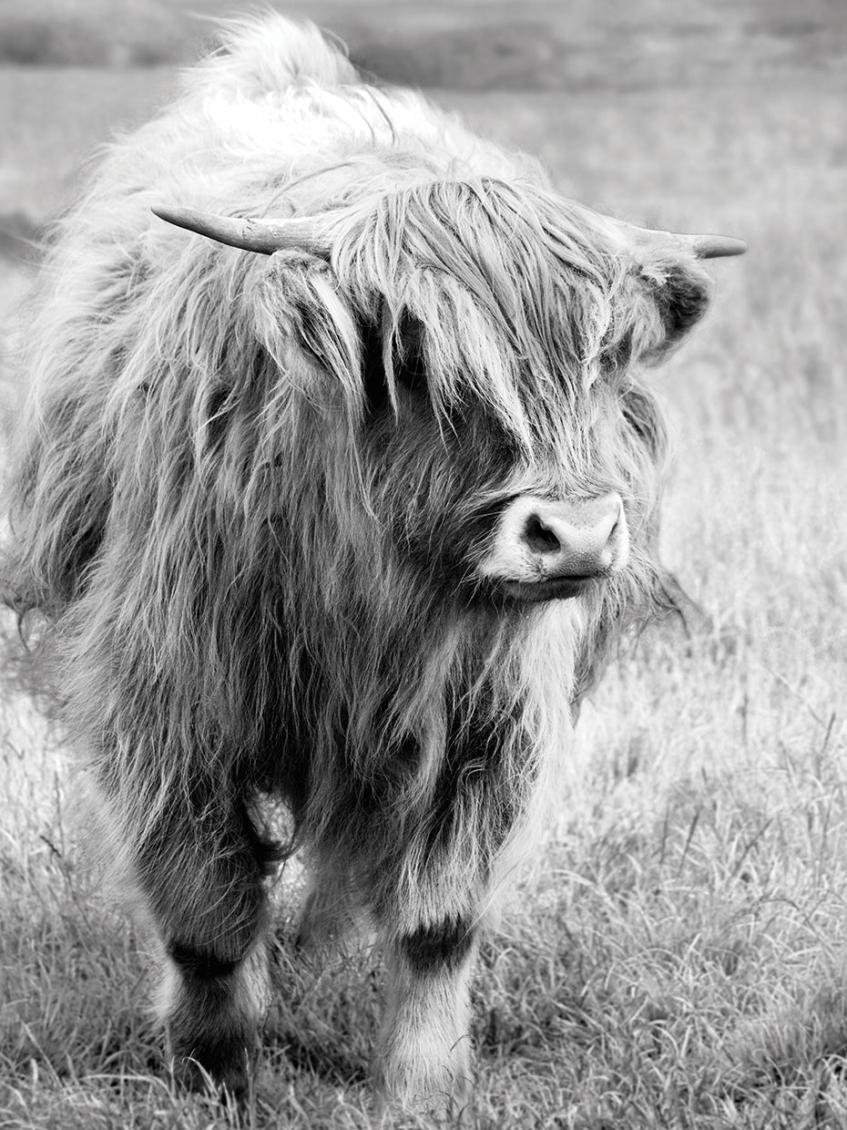 Gretna Green Highland