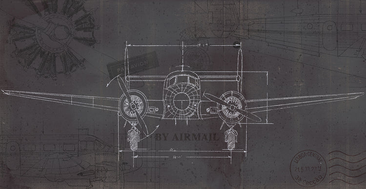 Plane Blueprint IV Wings