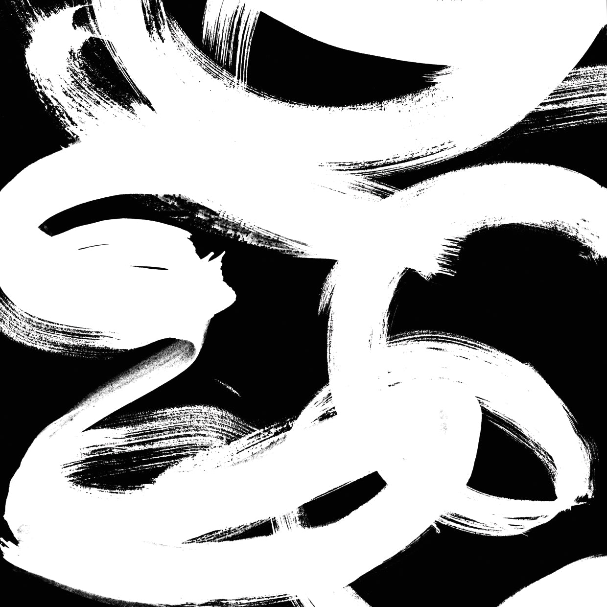 White Trails II