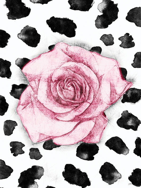 Dalmation Rose I Canvas Print