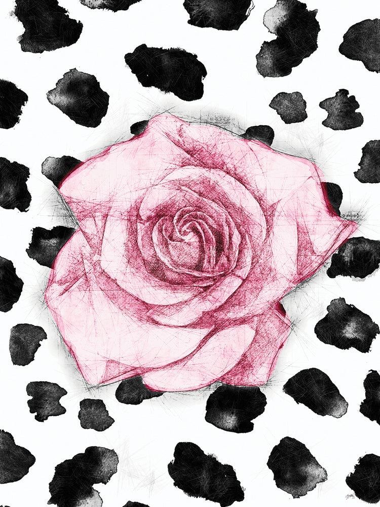 Dalmation Rose I