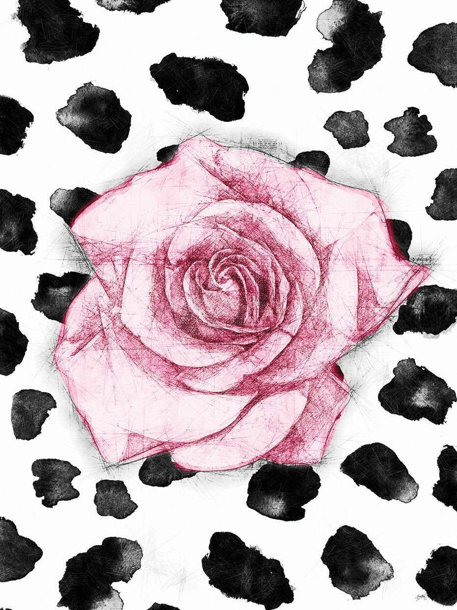 Dalmation Rose I