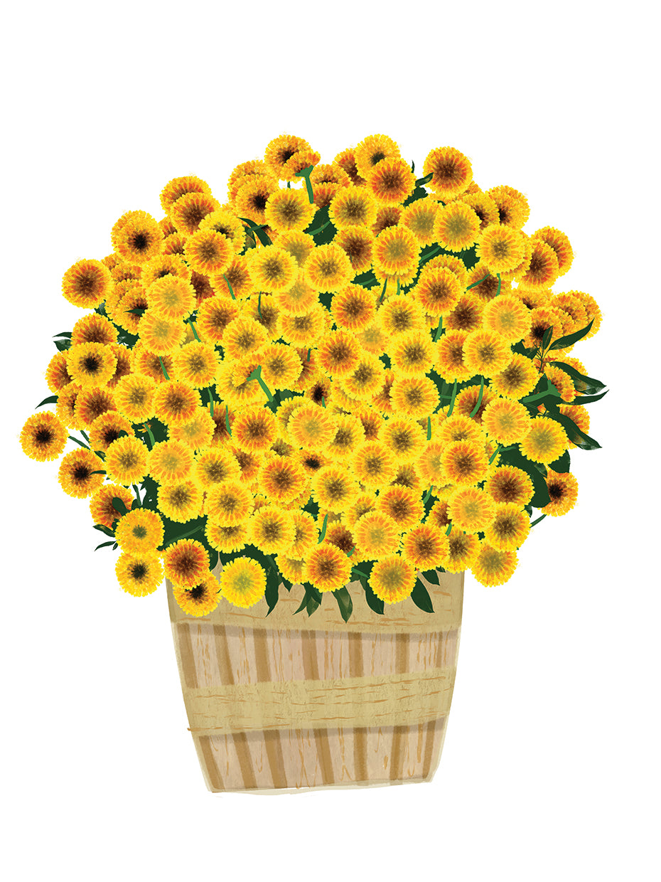 Yellow Mums
