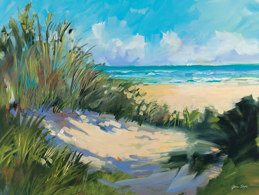Beach Dunes Canvas Print