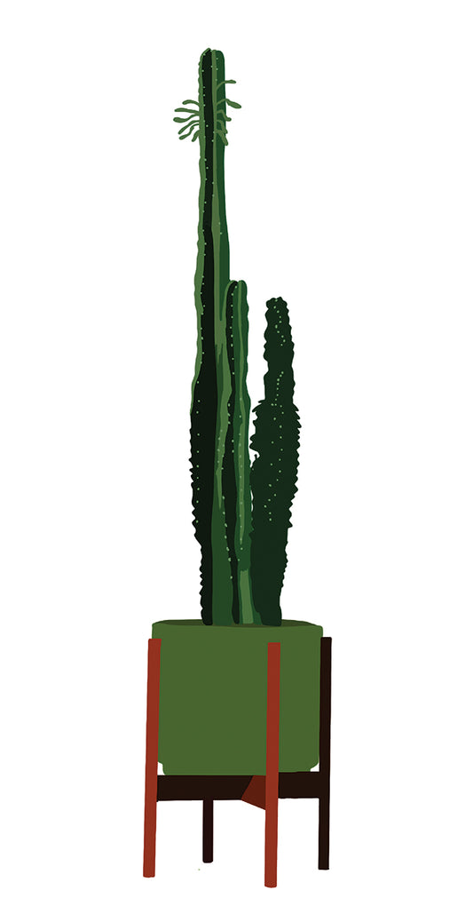 Modern Cacti Pot I Canvas Print