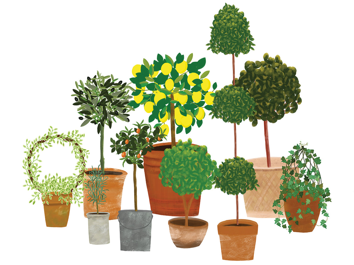 Topiaries