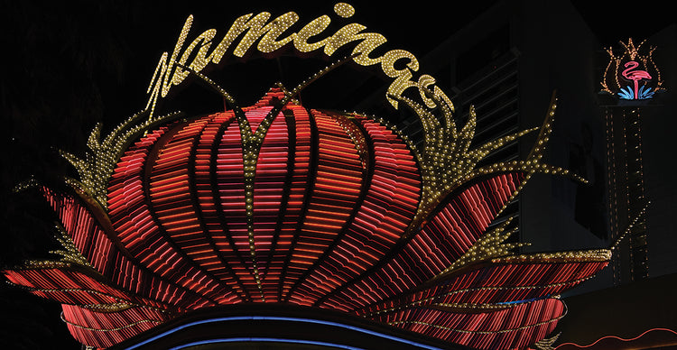 Flamenco Las Vegas Lienzo