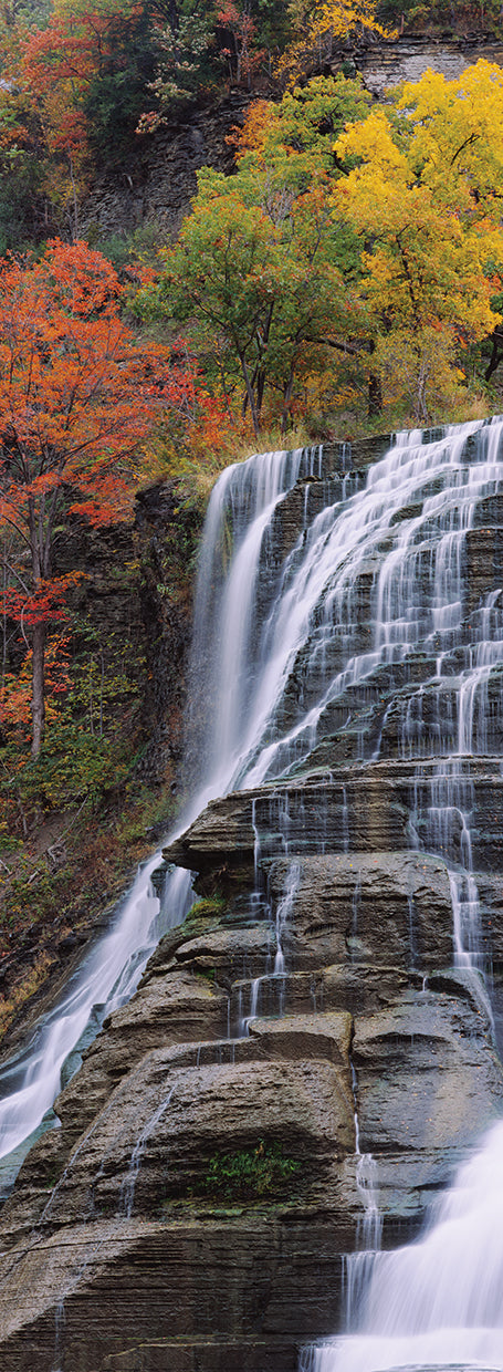 Ithaca Falls Nueva York Lienzo