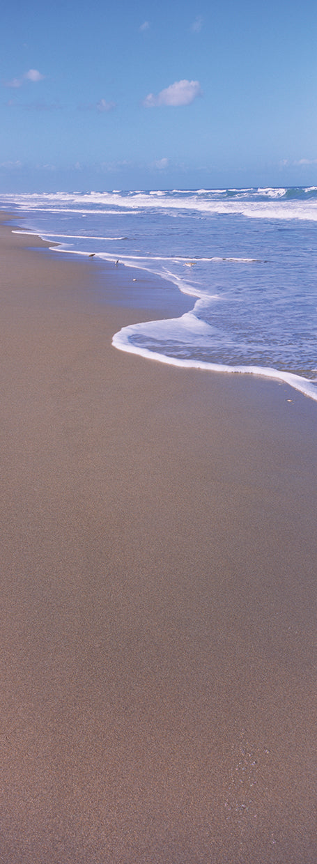 Sandy Seashore Florida