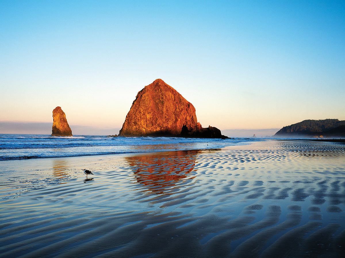 Haystack Rock Ripples