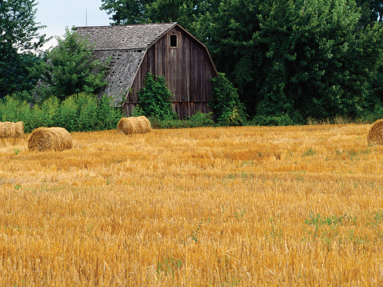 Michigan Hay Bales
