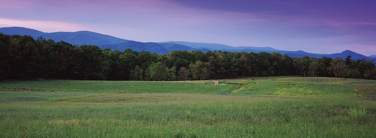 Camino del valle de Shenandoah Lienzo